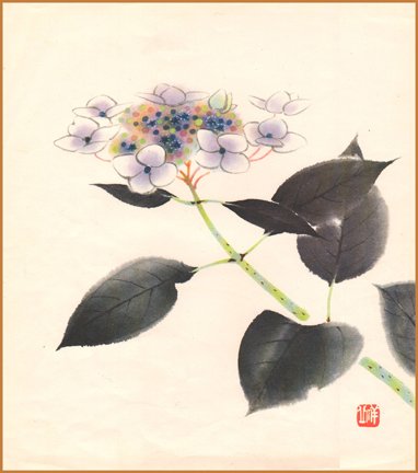 photo6.jpg