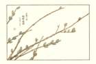 photo9_small.jpg