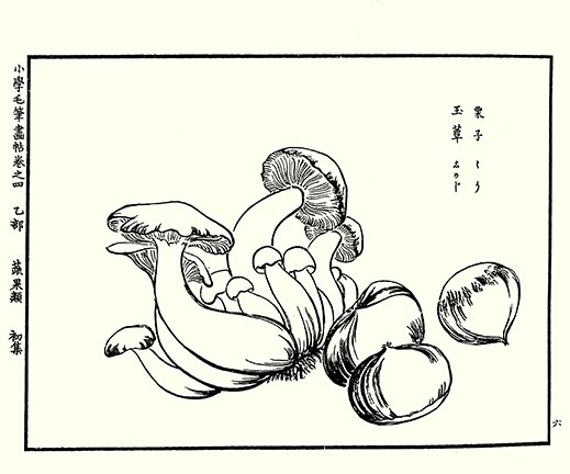 photo12.jpg