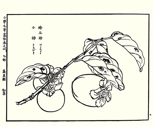 photo14.jpg