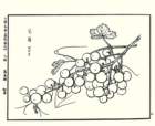 photo15_small.jpg