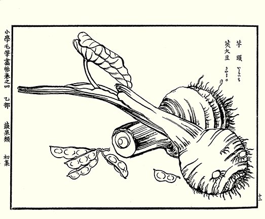 photo18.jpg