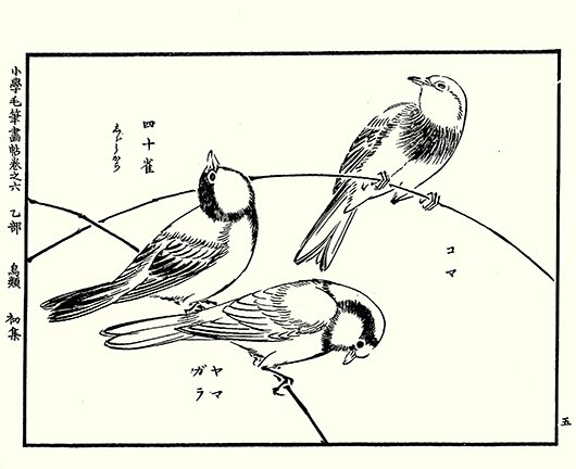 photo22.jpg