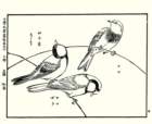 photo22_small.jpg