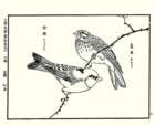 photo23_small.jpg