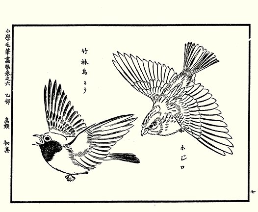 photo24.jpg