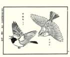 photo24_small.jpg
