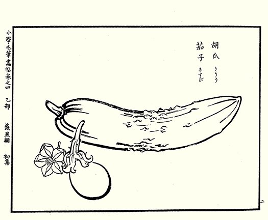 photo9.jpg