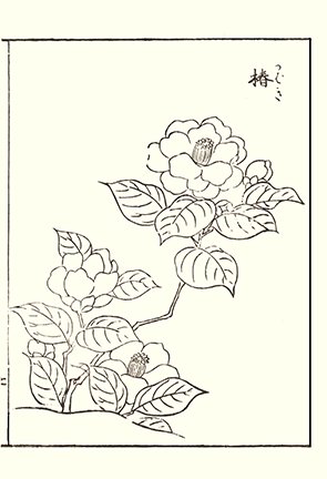 photo49.jpg