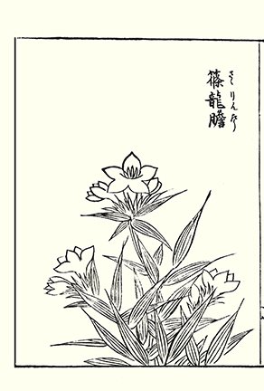 photo60.jpg