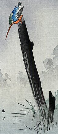 photo12.jpg