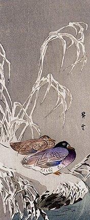 photo16.jpg