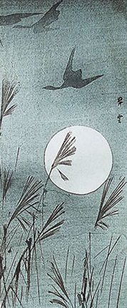 photo21.jpg