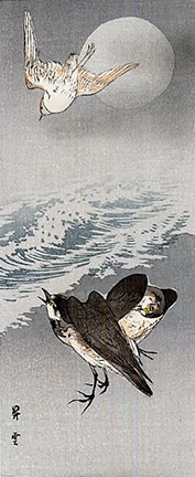 photo26.jpg