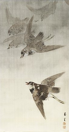 photo28.jpg