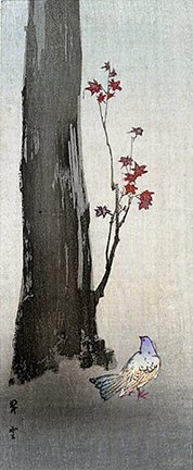 photo29.jpg
