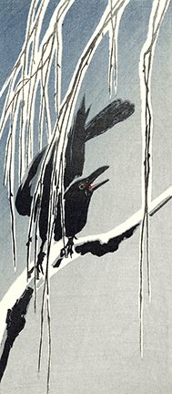 photo40.jpg