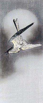 photo42.jpg