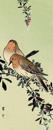 photo46.jpg