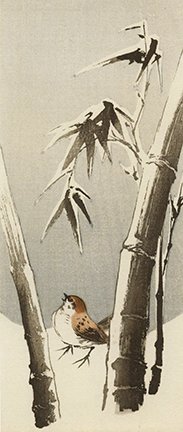 photo50.jpg