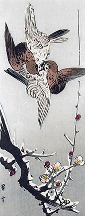 photo51.jpg
