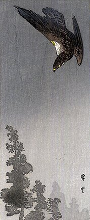 photo6.jpg