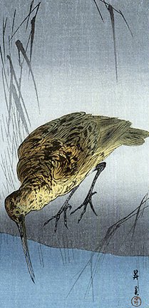 photo60.jpg