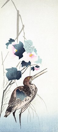 photo62.jpg