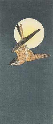 photo18.jpg