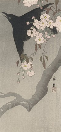 photo5.jpg