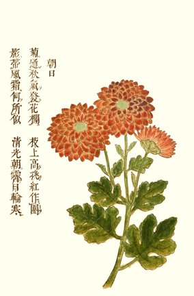 photo20.jpg