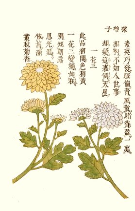 photo49.jpg