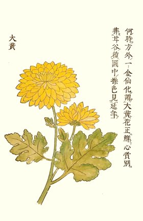 photo6.jpg