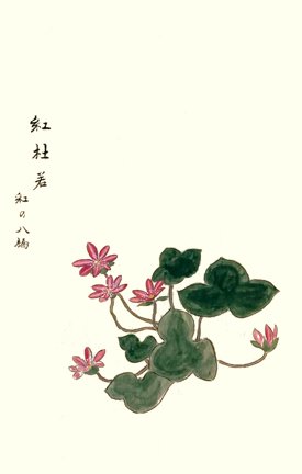 photo18.jpg