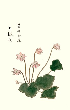 photo22.jpg
