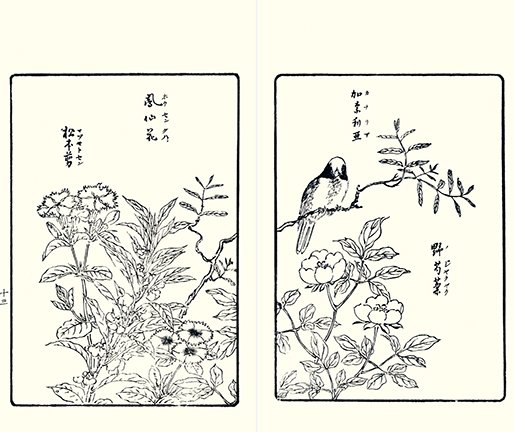 photo11.jpg