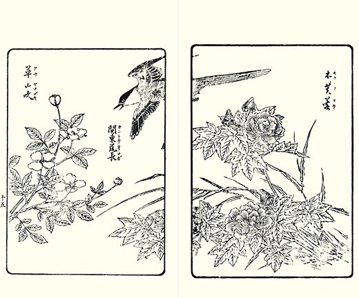 photo13.jpg