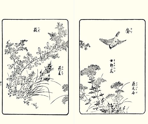 photo20.jpg
