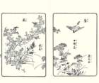 photo20_small.jpg