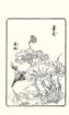 photo21_small.jpg