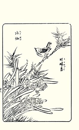 photo22.jpg