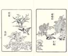 photo2_small.jpg
