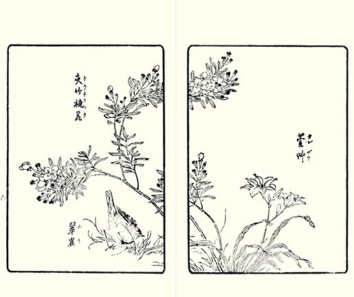 photo5.jpg
