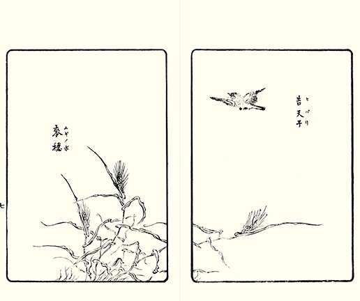 photo6.jpg