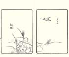 photo6_small.jpg