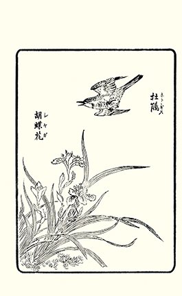 photo9.jpg