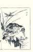 photo10_small.jpg