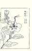 photo11_small.jpg