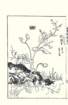 photo13_small.jpg