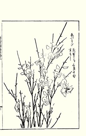 photo28.jpg